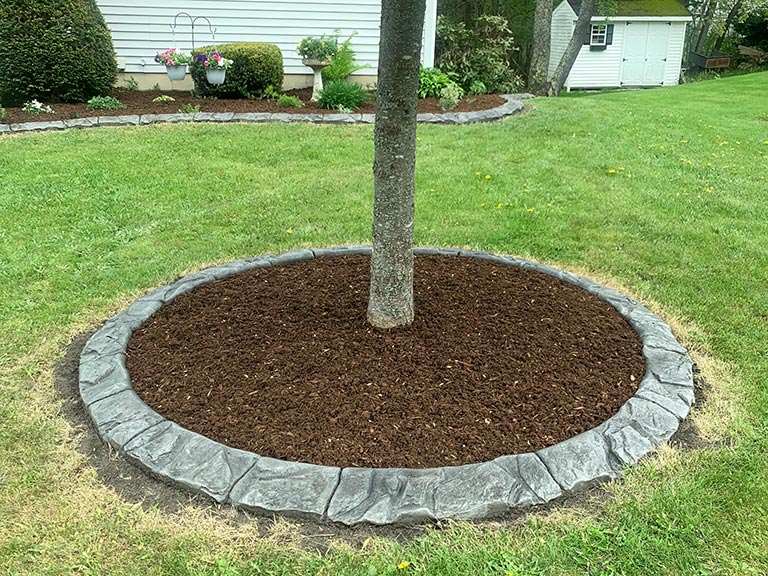 Our Work